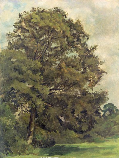 Studie einer Esche, ca. 1851 von Lionel Constable